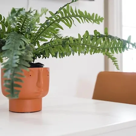 Appartamento A Charming Near Paco Escolas Coimbra