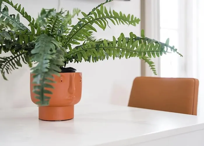 Διαμέρισμα A Charming Near Paco Escolas Κοΐμπρα